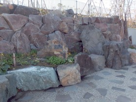 ばんにんはなむしろ