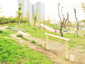 みどりの遊び場