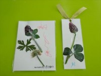 20150416草花で絵はがき＆しおり作り (19)_R