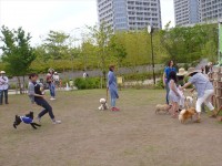 20150524わんこイベント (92)m_R