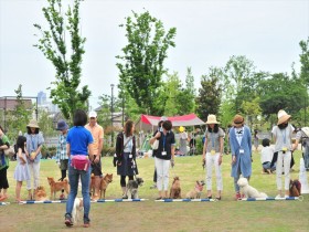 20150524わんこイベント (33)_R