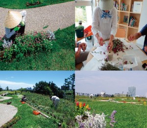 ナチュモコ作業写真①