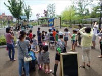 20150813 草花染めでうちわ作り (1)_R