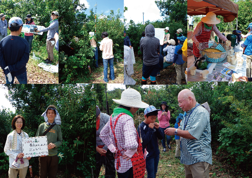 いのちの森公開活動③