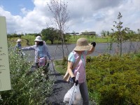 20150823安全Ｇ定例活動（花火大会後） (8)_R