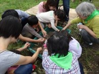 20150926 泥だんごでタネまき (15)_R