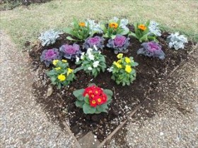 ナチュモコ植え替え