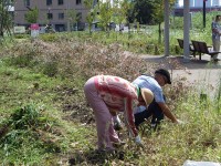 20150919いのちの森 (95)_R