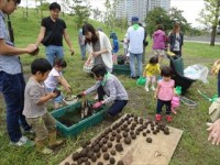 20150926 泥だんごでタネまき (59)_R