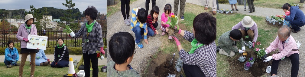 植え替えの様子