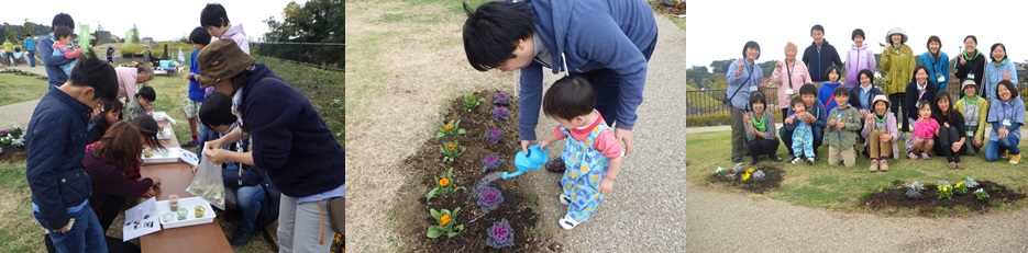 植え替えの様子その２