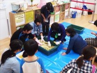 OLYMPUS DIGITAL CAMERA