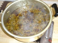 20151117草木染めリハーサル (10)_R