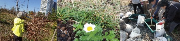 冬の作業の様子