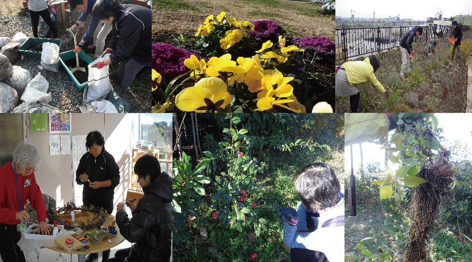 みどりG活動の様子