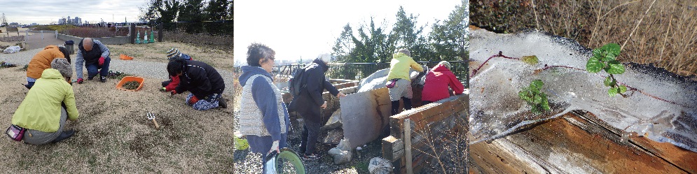 ナチュモコ作業