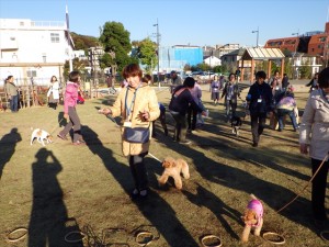 20151129犬イベント実施日 (29)_R