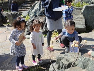 20160317しぜんビンゴ (14)_R