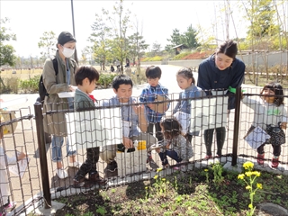 20160317しぜんビンゴ (2)_R