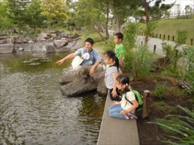 20160511多摩川deピクニック (7)_R