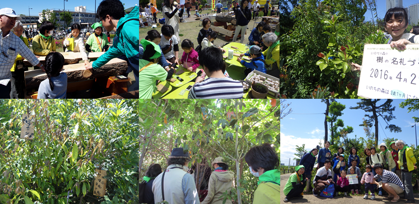 いのちの森まとめ