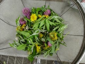 20160427プレーカー第1回 (3)_R