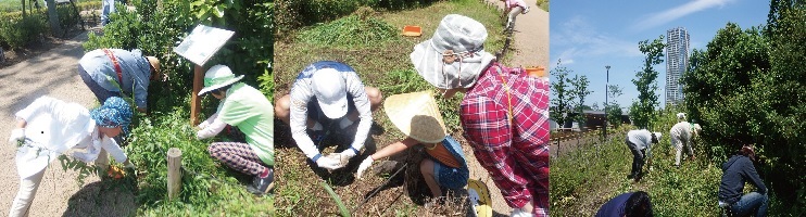 いのちの森公開活動