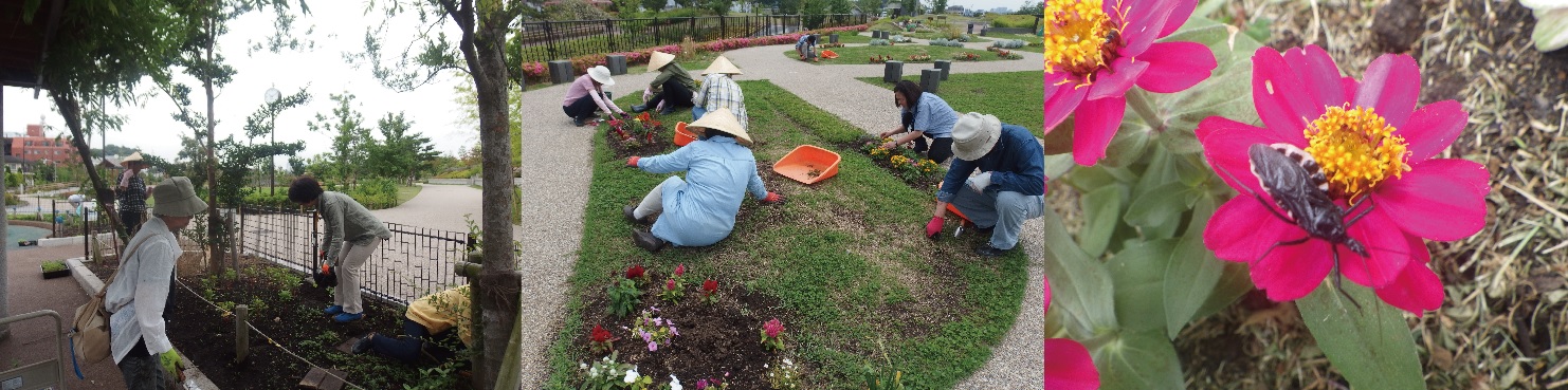 ナチュモコ・こども花壇