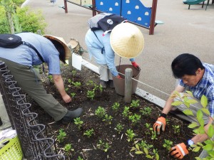 20160601みどりG自由活動(子ども花壇) (3)_R