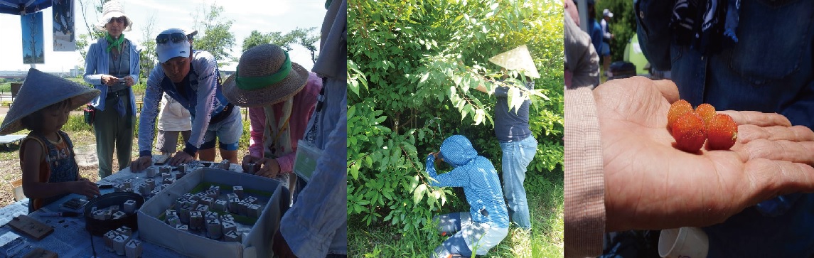 いのちの森公開活動2