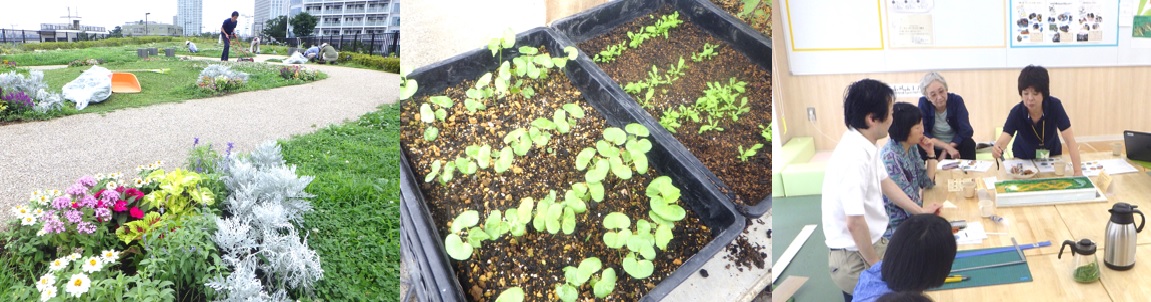 ナチュモコの活動