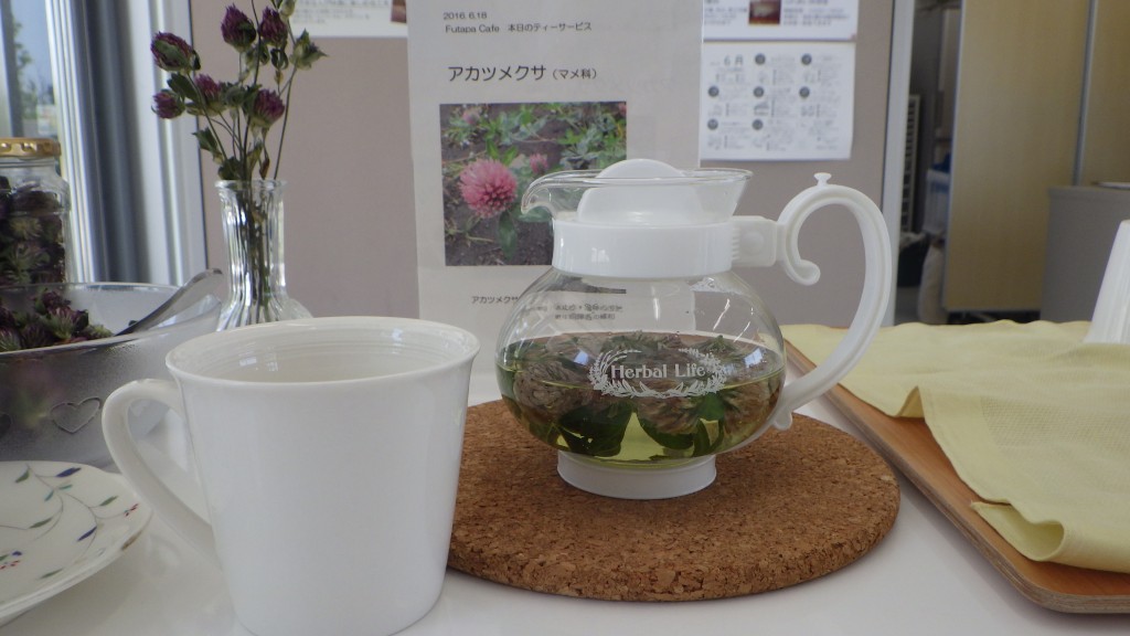 アカツメクサティ