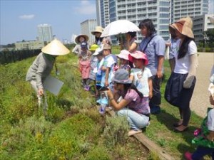 20160810子どもグループ「ラベンダーせっけんをつくろう！」 (16)_R