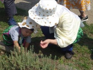 20160810子どもグループ「ラベンダーせっけんをつくろう！」 (18)_R
