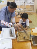 20160920ジュニアサポーター定例会 (8)