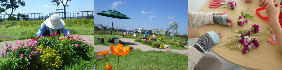 ナチュモコ手入れの様子