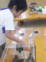 20160920ジュニアサポーター定例会 (13)