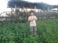 20161018ジュニアサポーター定例会 (10)