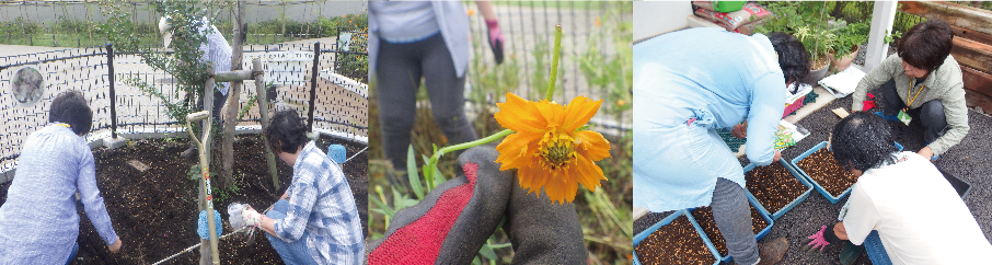 こども花壇・管理ヤード
