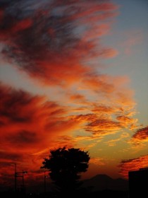 20161014黄昏(VC前) (2)_R