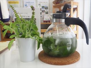 バジルティー加工済み_R