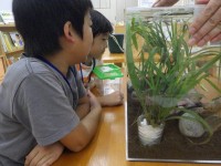 20161018ジュニアサポーター定例会 (24)