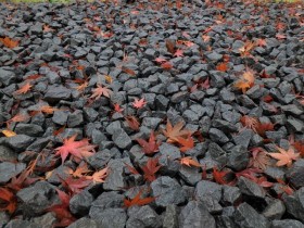 落ち葉のアート3