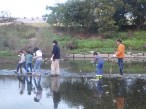 20161115定例会・多摩川スタックづくり (16)