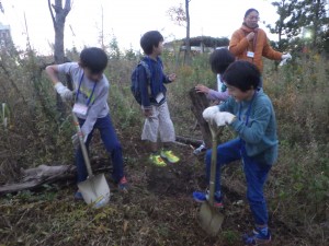 20161115定例会・多摩川スタックづくり (18)