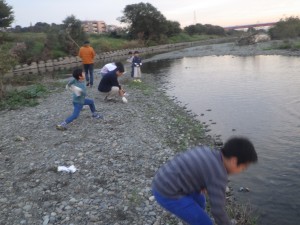 20161115定例会・多摩川スタックづくり (9)