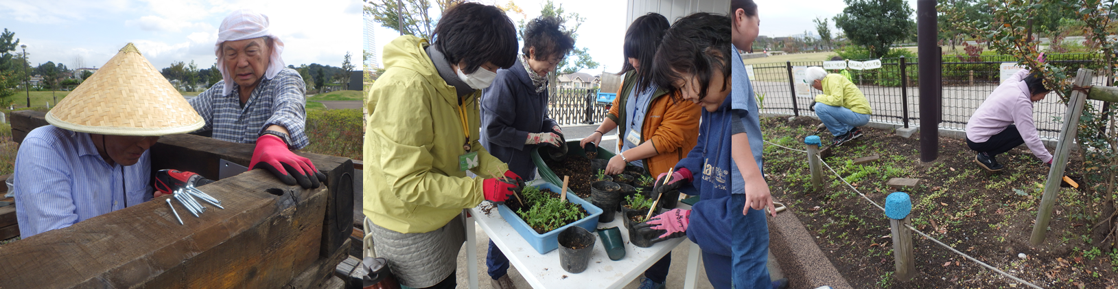 作業の様子みどりG
