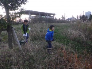 20161220ジュニアサポーター定例会 (13)