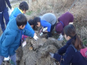 20170117サンクチュアリ生きもの探し (20)_R