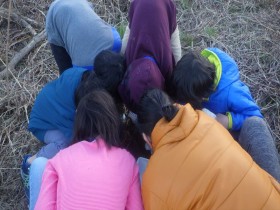 20170117サンクチュアリ生きもの探し (14)_R